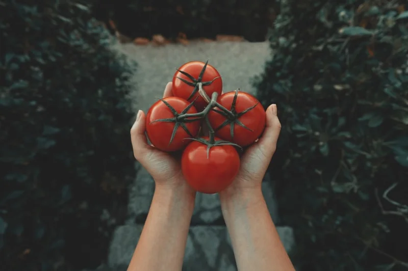 ماسك الطماطم و أفضل ١٢ وصفة سحرية لنضارة البشرة