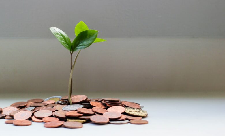 green plant on brown round coins