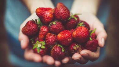 shallow focus photography of strawberries on person's palm