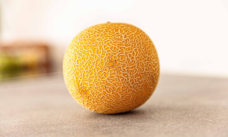 cantaloupe fruit