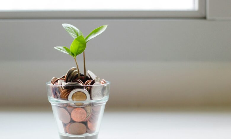 green plant in clear glass cup