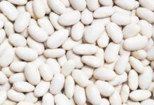 white beans on white background