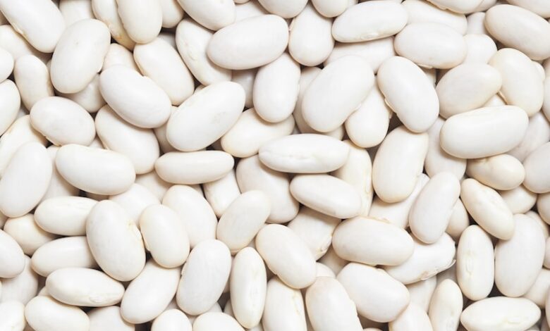 white beans on white background